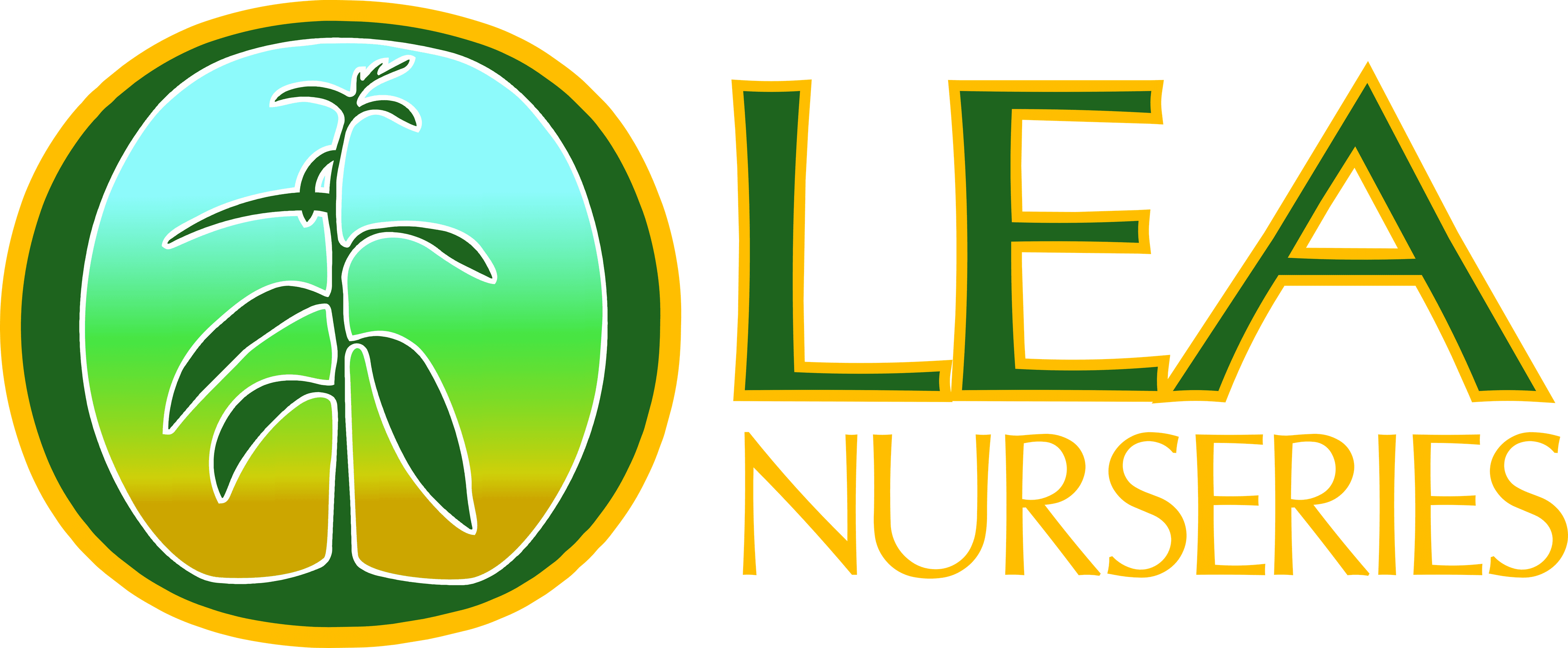New Major Sponsor: Olea Nurseries